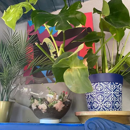 Ferienhaus Alfoz, -tiny House- Con Patio Privado Y Barbacoa Velliza