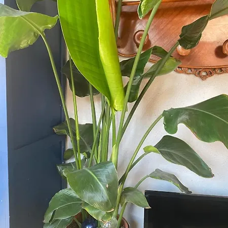 Alfoz, -tiny House- Con Patio Privado Y Barbacoa Velliza