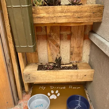 Ferienhaus Alfoz, -tiny House- Con Patio Privado Y Barbacoa Velliza