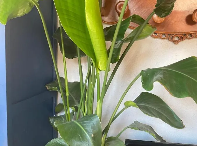 Alfoz, -tiny House- Con Patio Privado Y Barbacoa Velliza